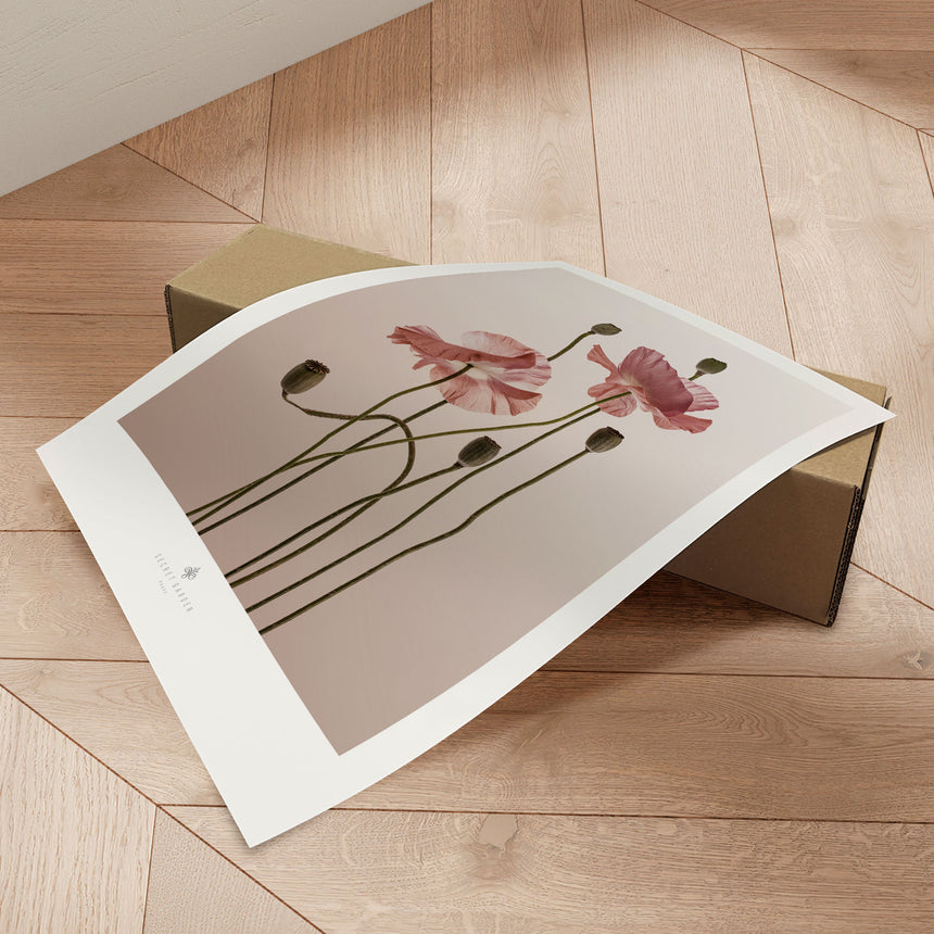 Plakat - Poppy - Incado