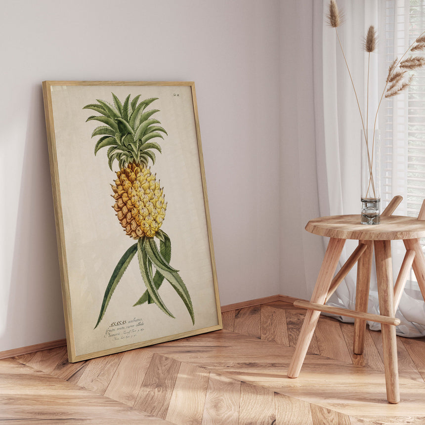 Plakat - Ananas - Incado