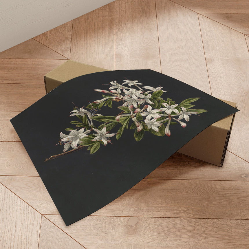 Plakat - Flower Colony - Incado