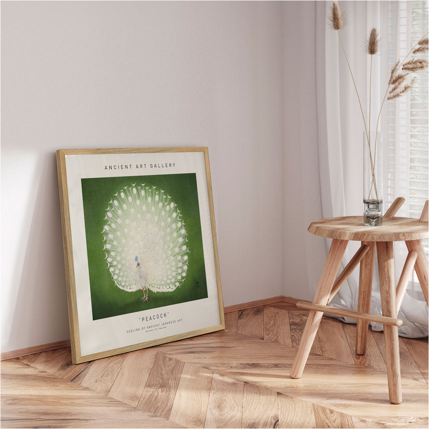 Plakat - Peacock - Incado