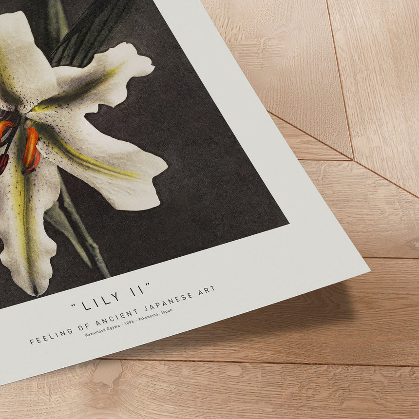 Plakat - Lily II - Incado