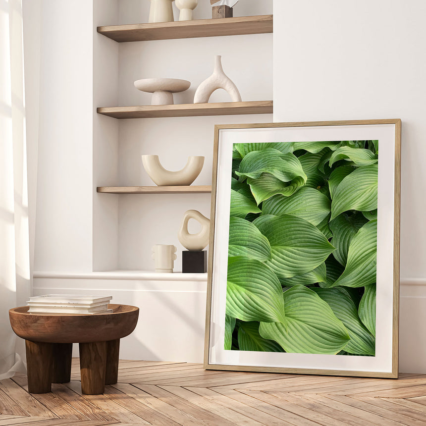 Plakat - Green Hosta - Incado