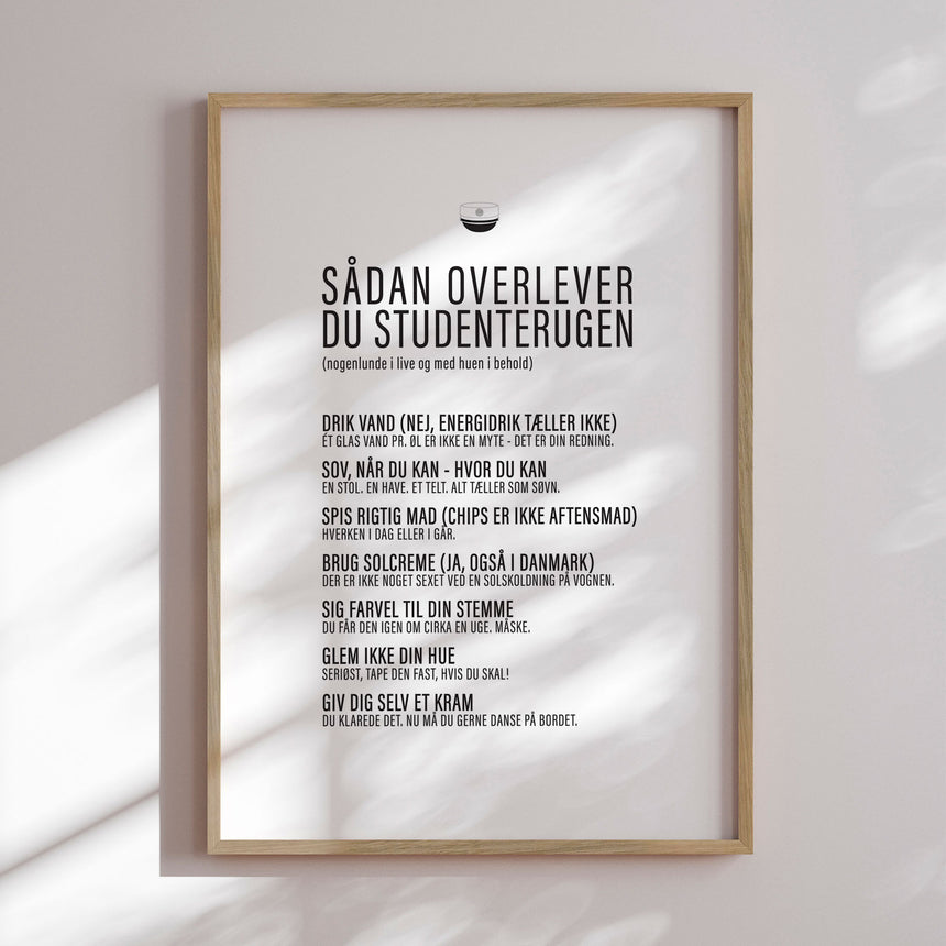 Plakat - Studenterugen - Incado