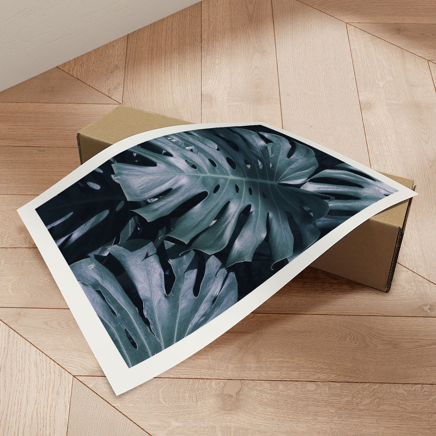 Plakat - Monstera - Incado
