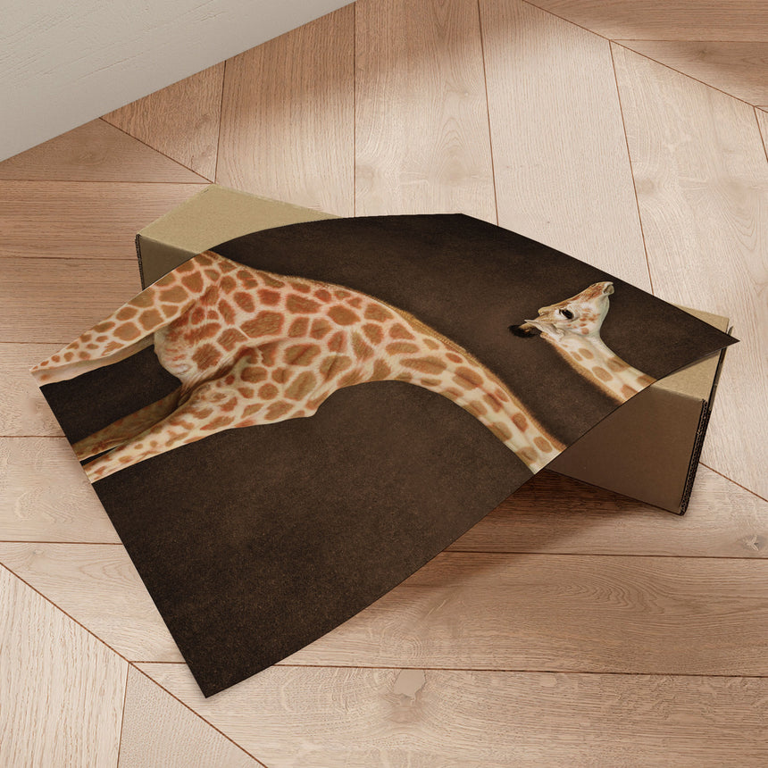 Plakat - Giraffe Illusion - Marja van den Hurk - Incado