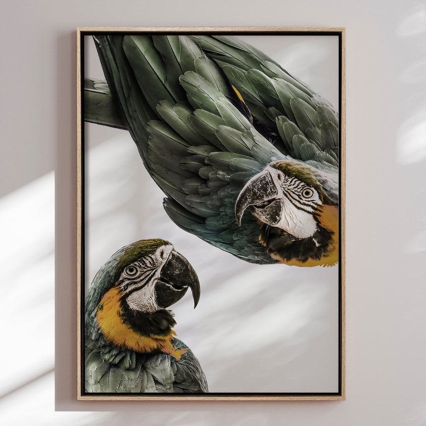 Lærredstryk - Vibrant Parrot Duo - Treechild