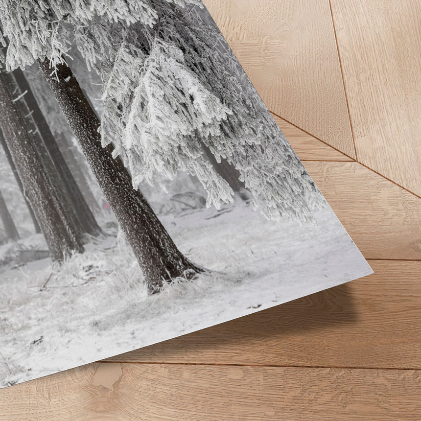 Plakat - Winter Forest - Mareike Böhmer