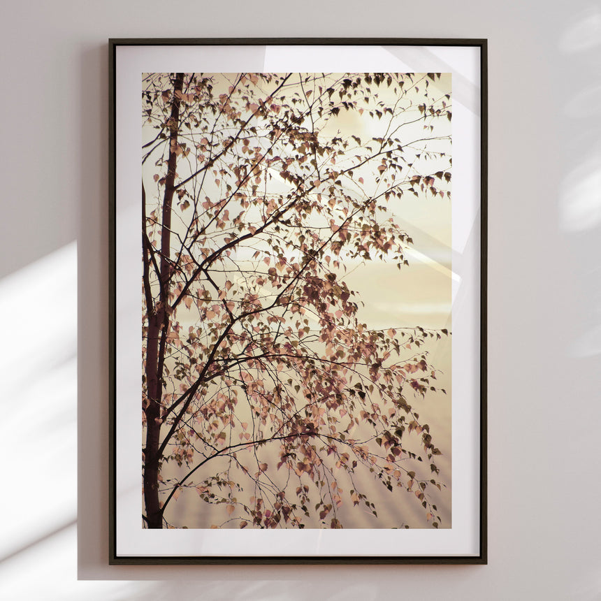 Indramning - Morning Brilliance - Christina Sillen