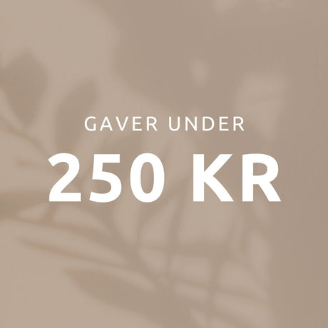 Gaver under 250 kr. - Incado