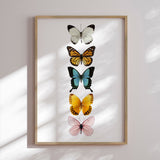 Plakat - Butterflies - Incado