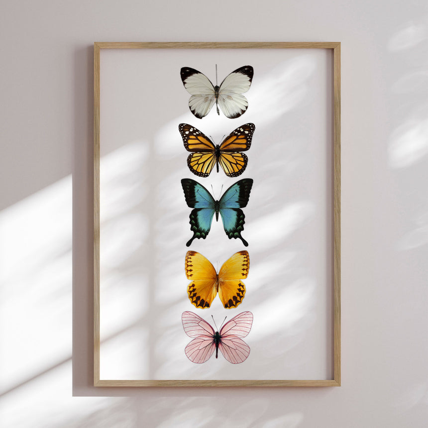 Plakat - Butterflies - Incado