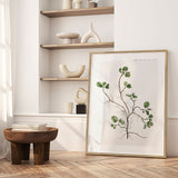 Plakat - Flora Danica 10 - Incado