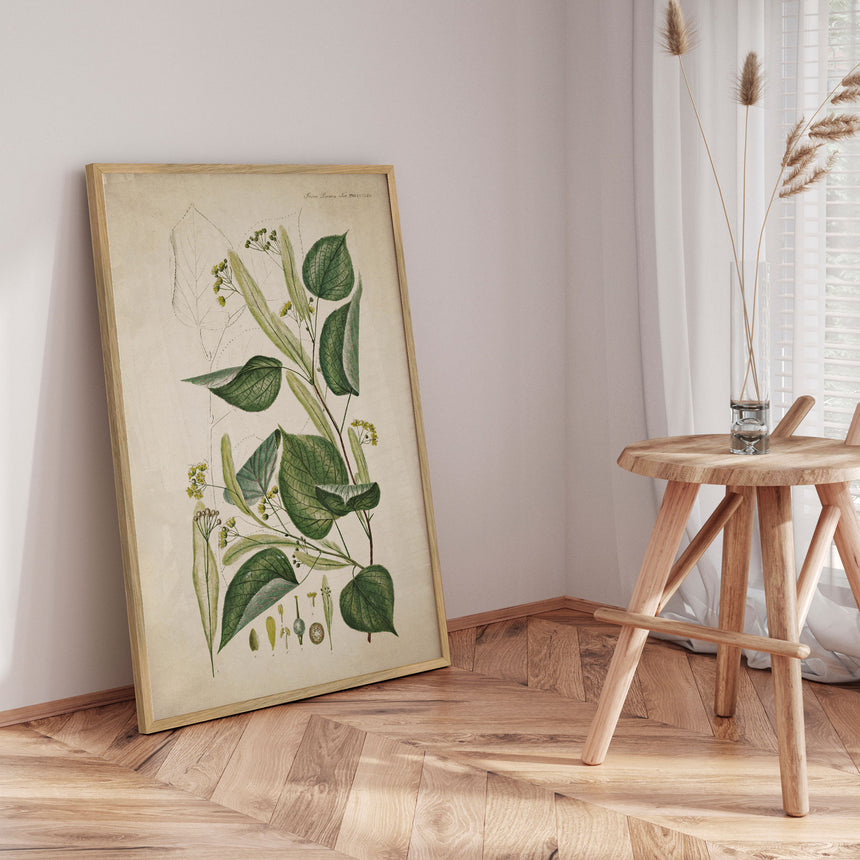 Plakat - Flora Danica 12 - Incado