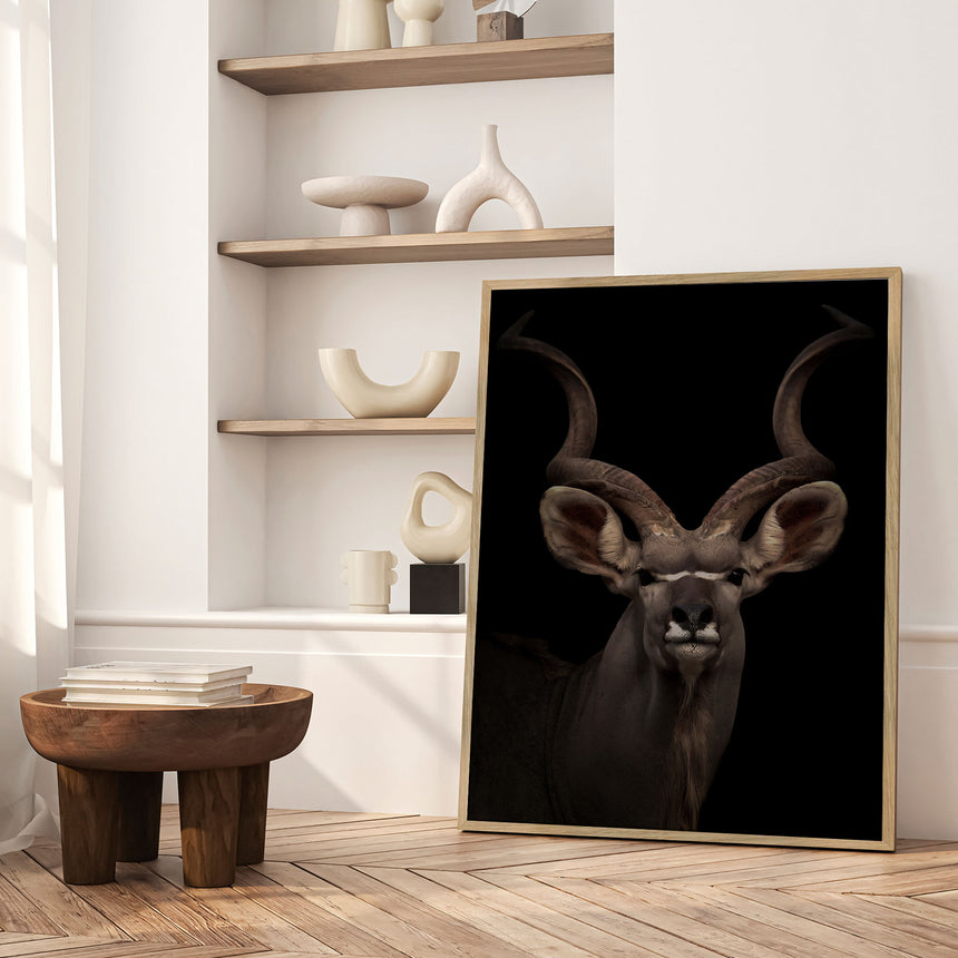 Plakat - Majestic Kudu - Incado