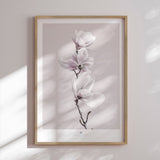 Plakat - Magnolia I - Incado