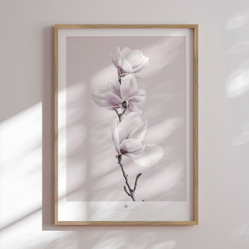 Plakat - Magnolia I - Incado