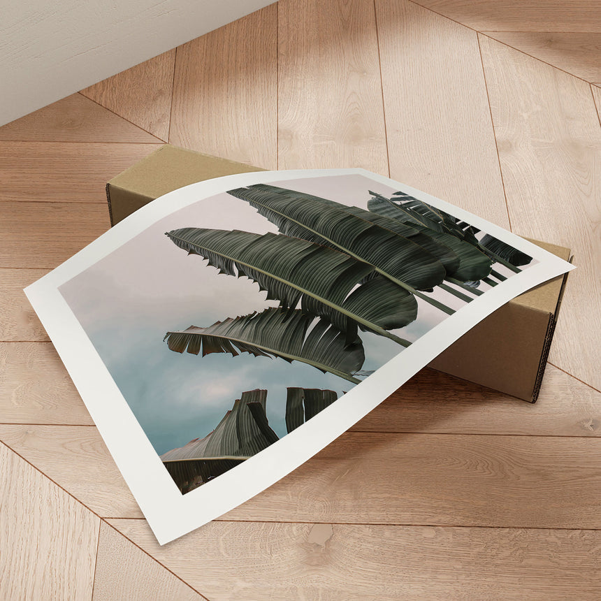 Plakat - Palm Leaf - Incado