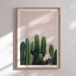 Plakat - Naked Cactus - Incado