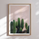 Plakat - Naked Cactus - Incado
