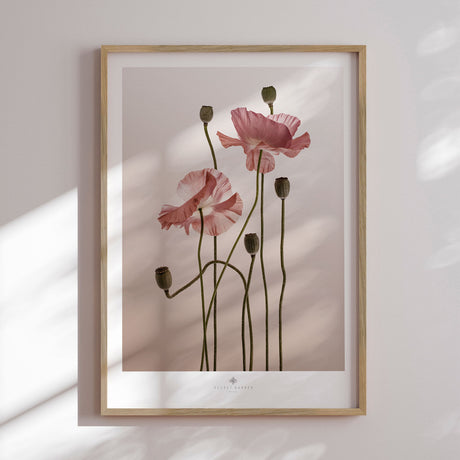 Plakat - Poppy - Incado
