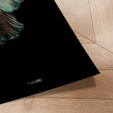 Plakat - Green King Fish - Incado