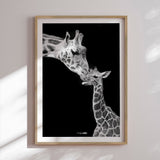 Plakat - Kiss - Incado