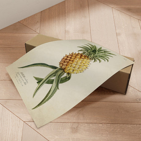 Plakat - Ananas - Incado