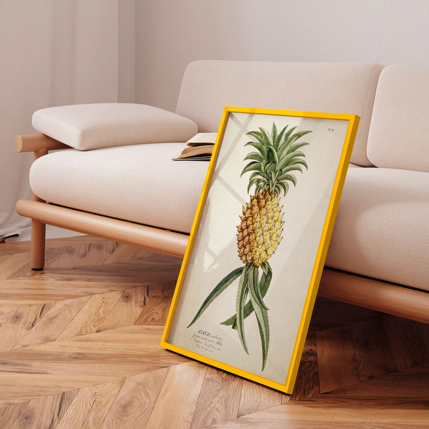 Plakat - Ananas - Incado