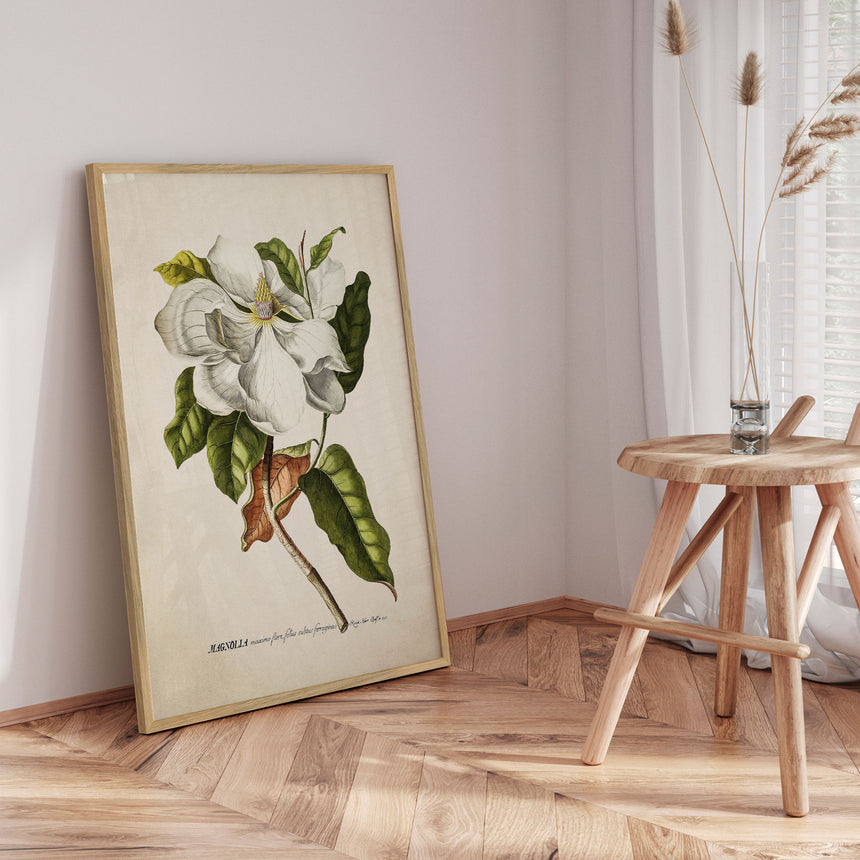 Plakat - Magnolia - Incado