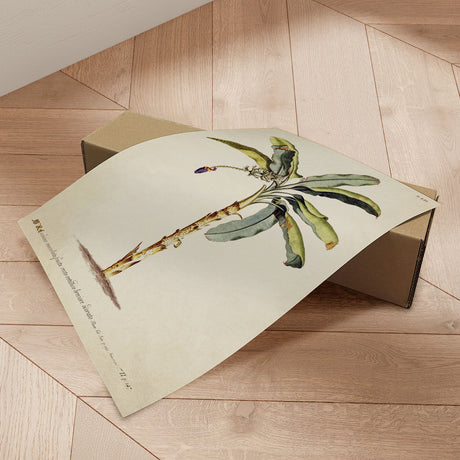 Plakat - Palm - Incado
