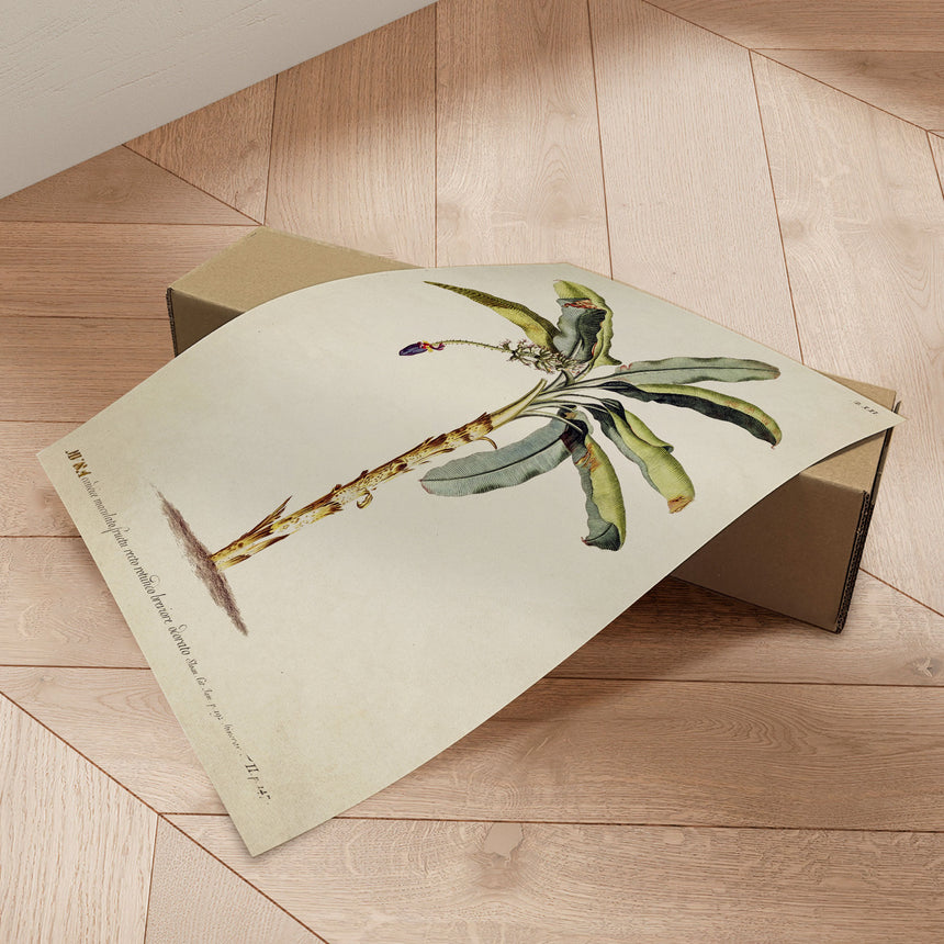 Plakat - Palm - Incado