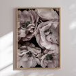 Plakat - Pastel Rose - Incado