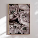 Plakat - Pastel Rose - Incado