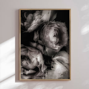 Plakat - Secret Garden - Incado