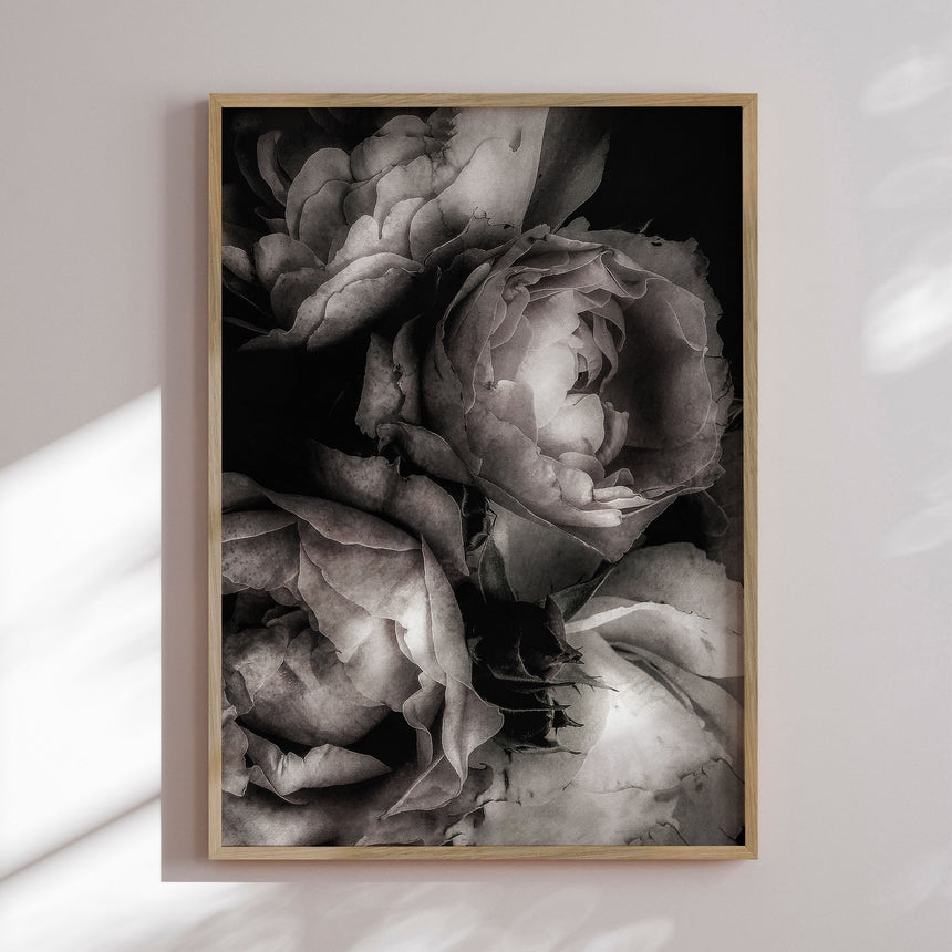 Plakat - Secret Garden - Incado