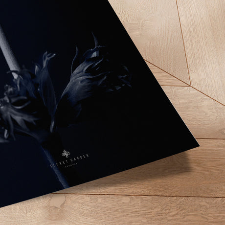 Plakat - Anemone - Incado
