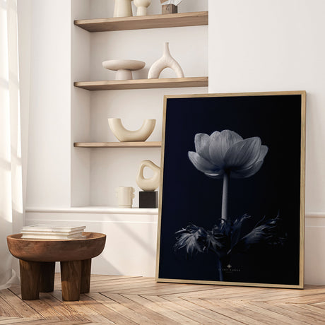 Plakat - Anemone - Incado