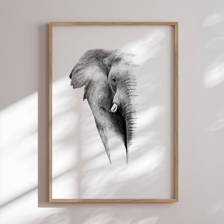 Plakat - Elephant - Incado
