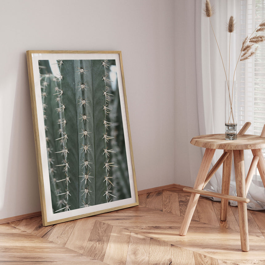 Plakat - Cactus - Incado