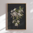 Plakat - Flower Colony - Incado