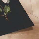 Plakat - White Flowers - Incado