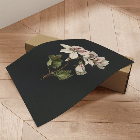 Plakat - White Flowers - Incado