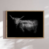 Plakat - Highlander - Incado