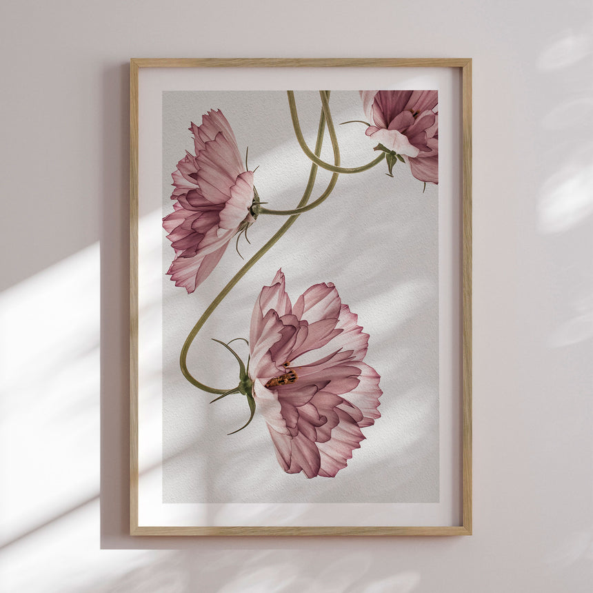 Plakat - Dusty Pink - Incado