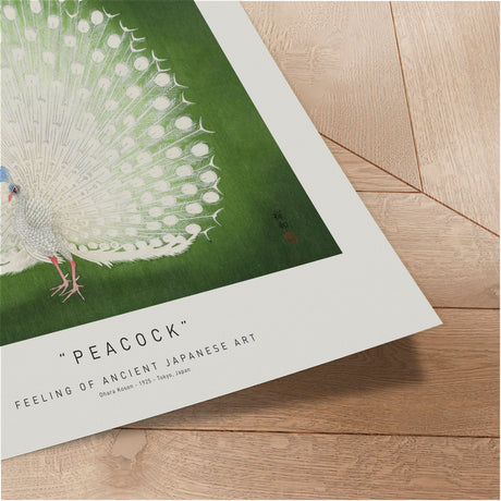 Plakat - Peacock - Incado