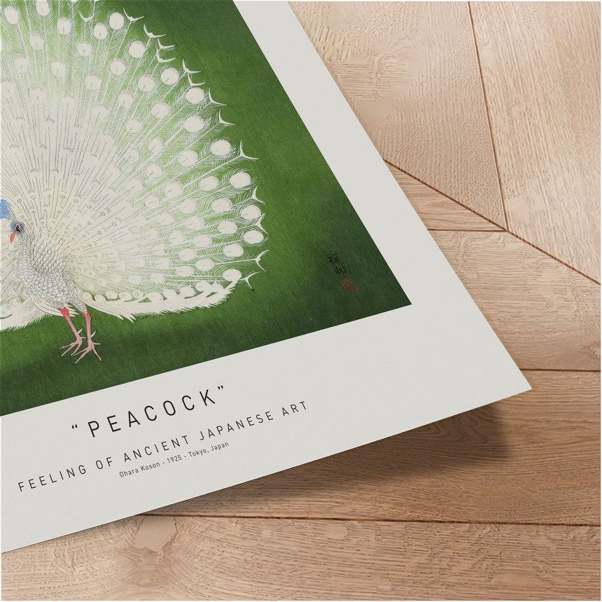 Plakat - Peacock - Incado