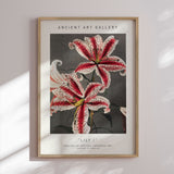 Plakat - Lily I - Ancient Art - Incado