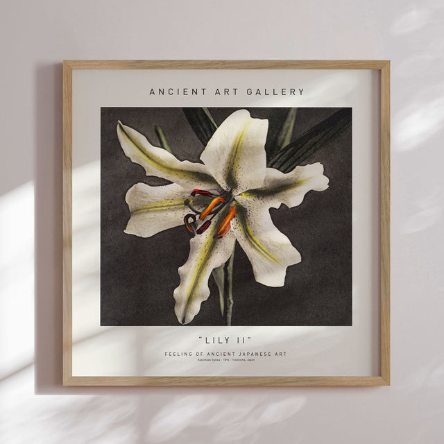Plakat - Lily II - Incado