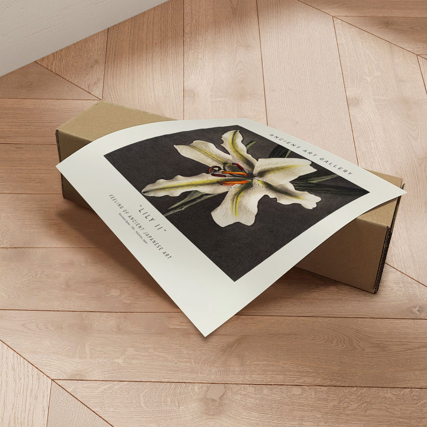 Plakat - Lily II - Incado