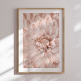 Plakat - Pink Closeup - Incado